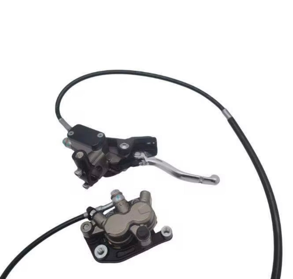 Ultra bee rear brake